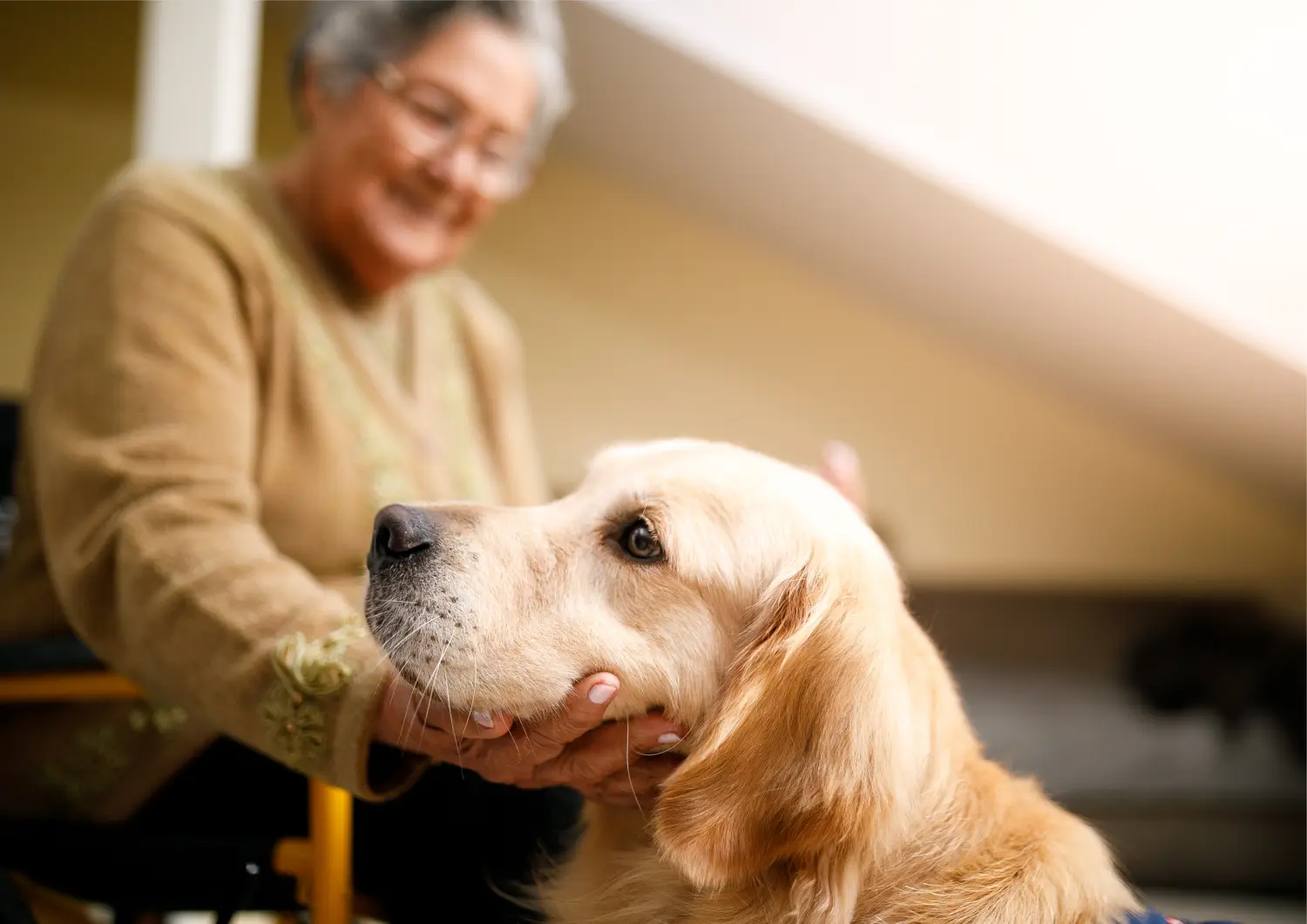 t.t.m.-therapie.tier.mensch.de UG haftungsbeschränkt - Therapeut - Hund