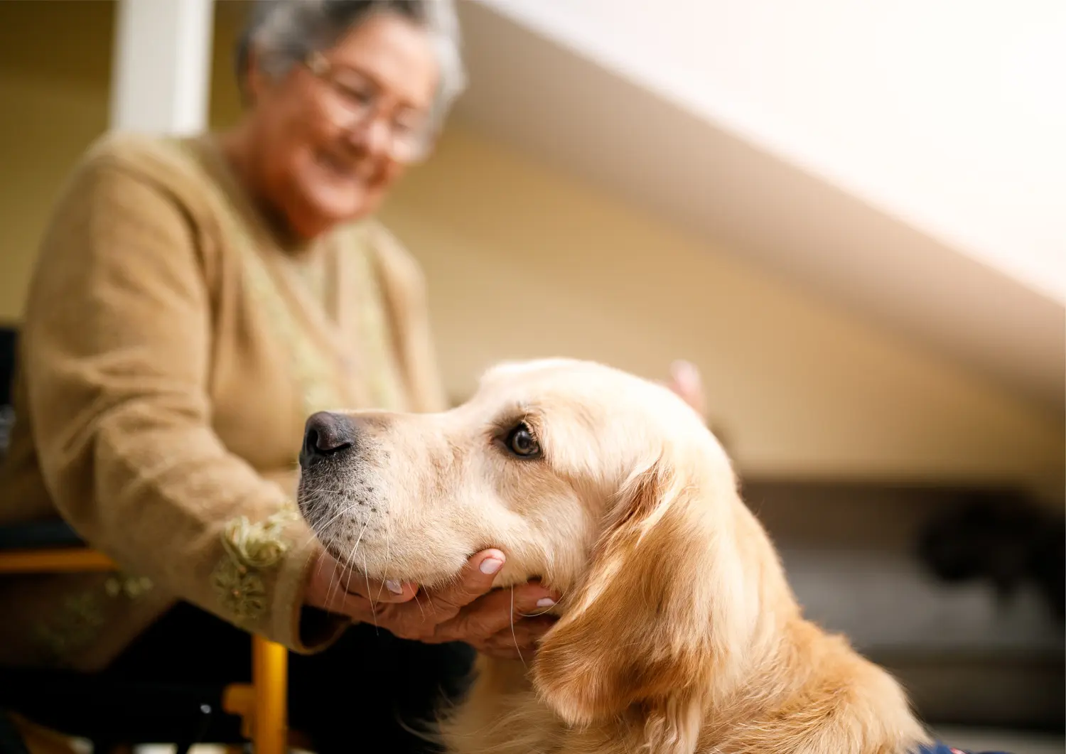 t.t.m.-therapie.tier.mensch.de UG haftungsbeschränkt - Therapeut - Hund