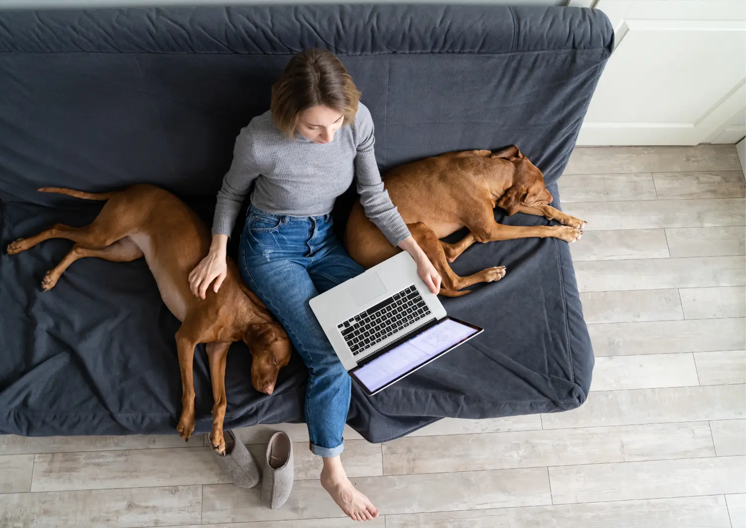 t.t.m.-therapie.tier.mensch.de UG haftungsbeschränkt - Therapeut - eine Person, die entspannt mit zwei Hunden auf dem Sofa zu Hause an einem Laptop arbeitet.