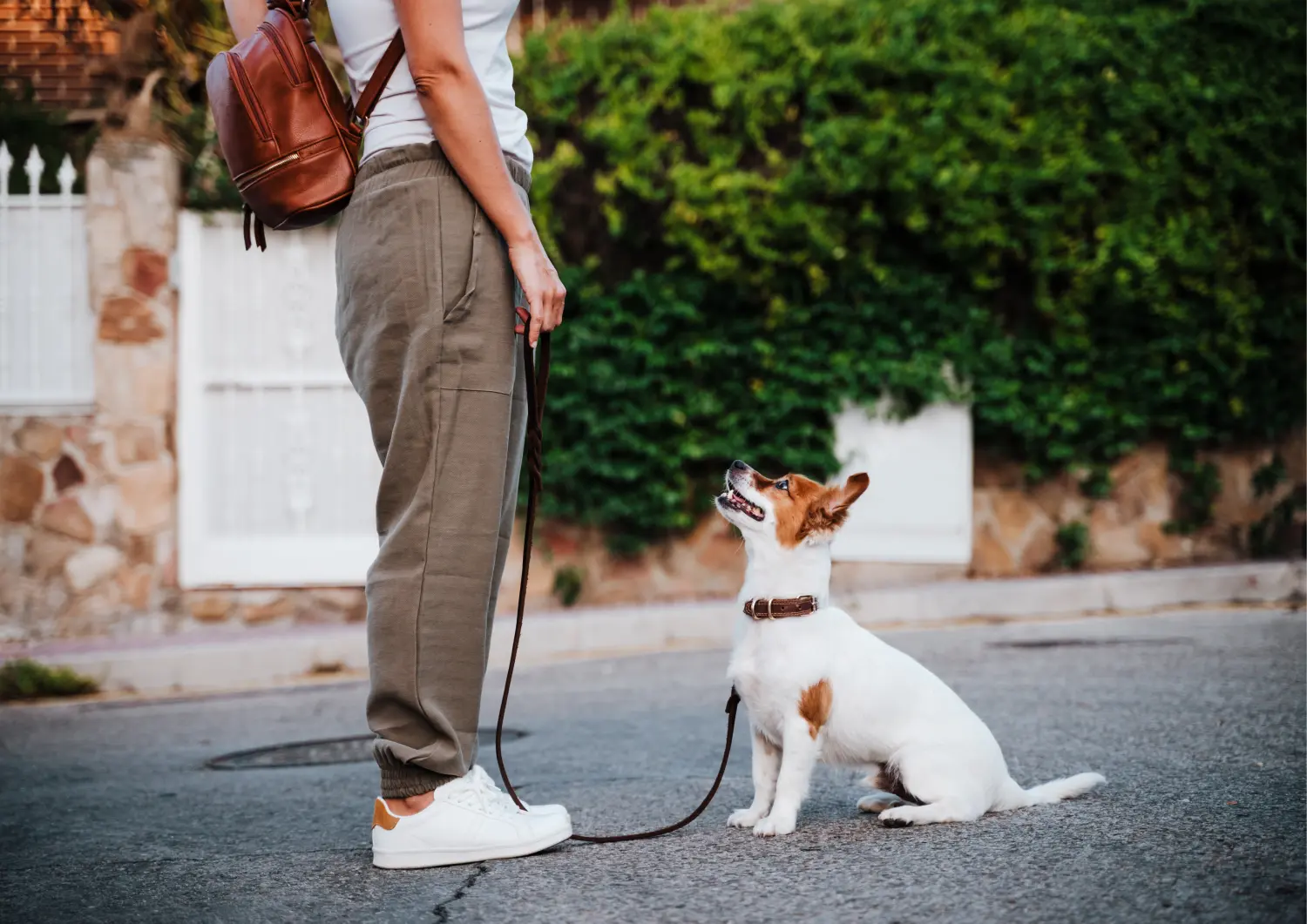 t.t.m.-therapie.tier.mensch.de UG haftungsbeschränkt - Therapeut - Hund
