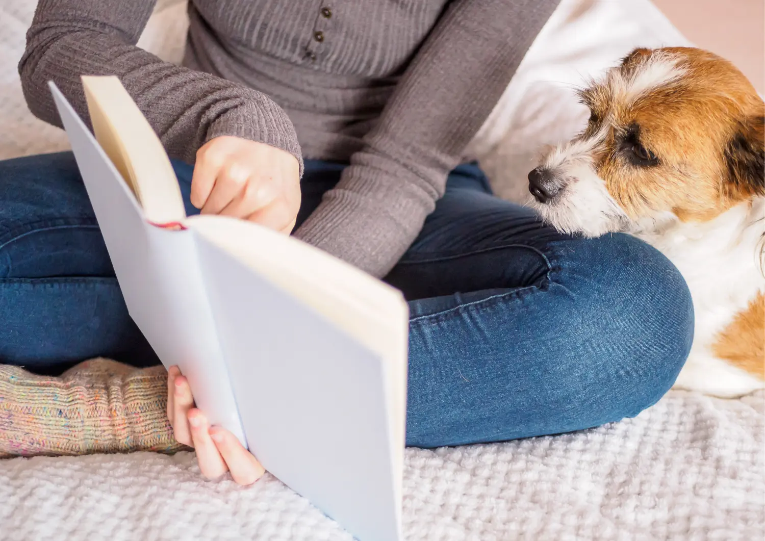 t.t.m.-therapie.tier.mensch.de UG haftungsbeschränkt - Therapeut - Hund im Garten