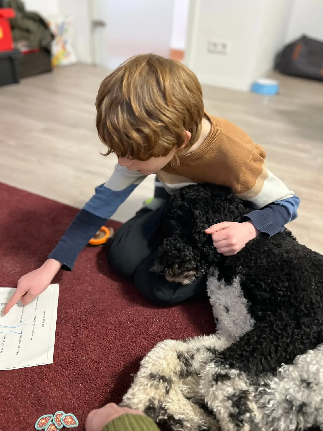 t.t.m.-therapie.tier.mensch.de UG haftungsbeschränkt - Therapeut - der Samenkopf oder die „Uhr“ eines gewöhnlichen Löwenzahns (Taraxacum officinale), wobei einige seiner Samen (sogenannte Achänen) weggeblasen werden.