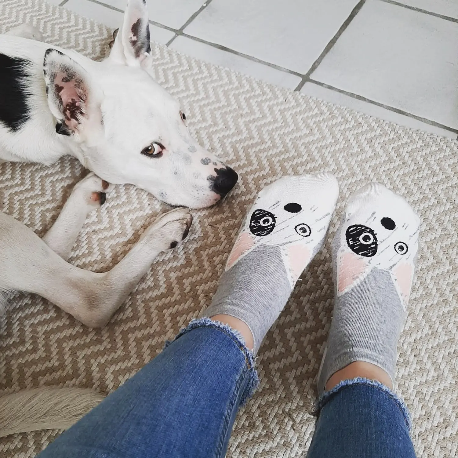 t.t.m.-therapie.tier.mensch.de UG haftungsbeschränkt - Therapeut - Hund im Garten