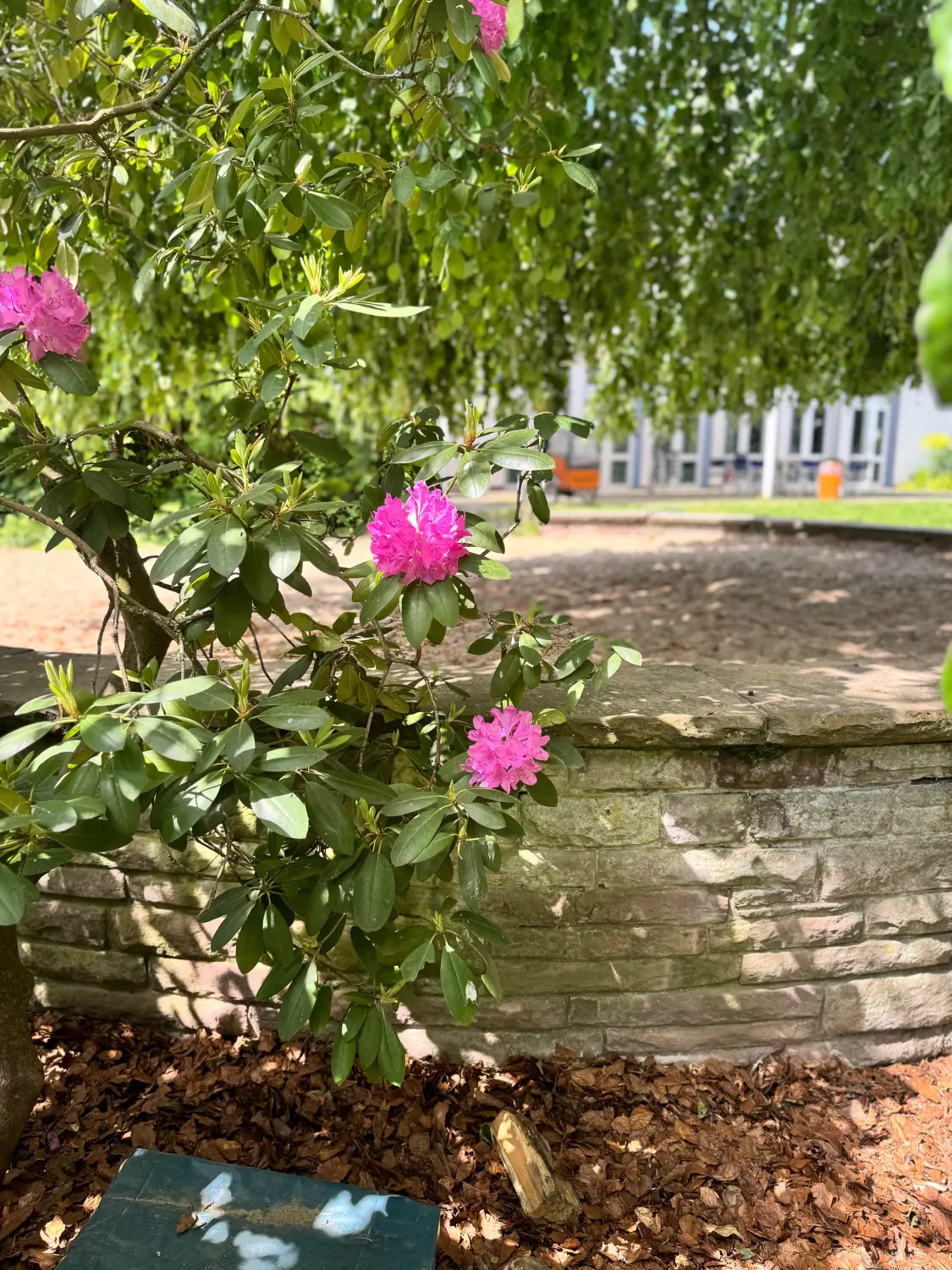 .t.m.-therapie.tier.mensch.de UG haftungsbeschränkt - Therapeut - Garten