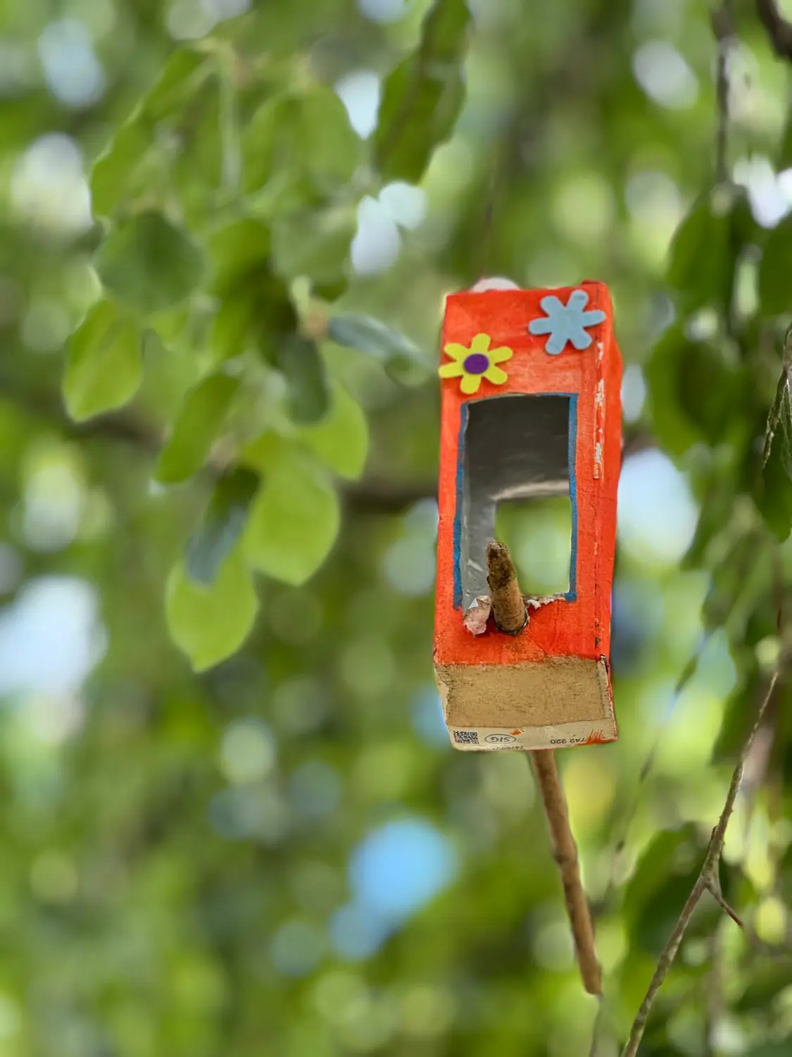 .t.m.-therapie.tier.mensch.de UG haftungsbeschränkt - Therapeut - Garten