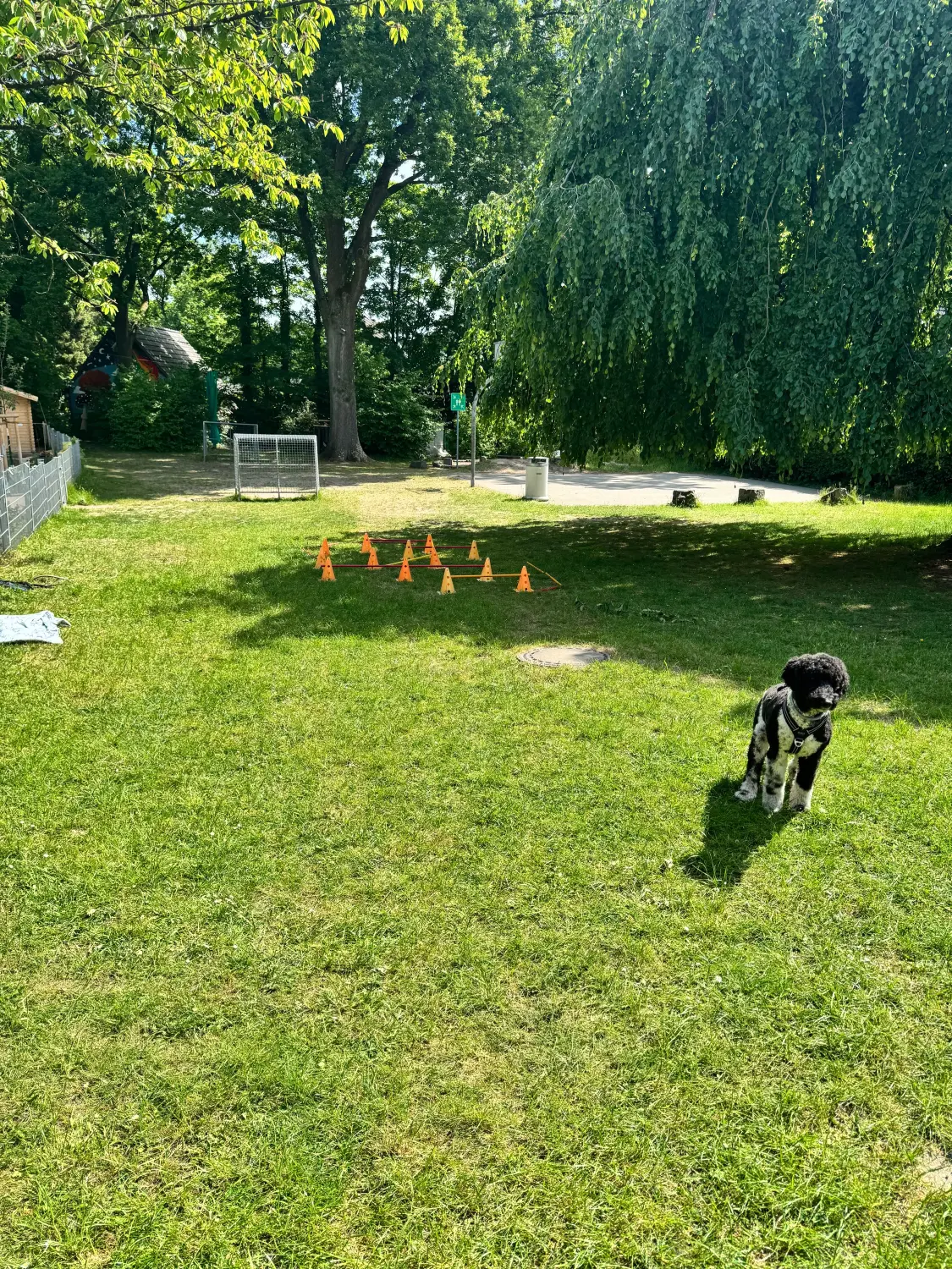 t.t.m.-therapie.tier.mensch.de UG haftungsbeschränkt - Therapeut - Garten