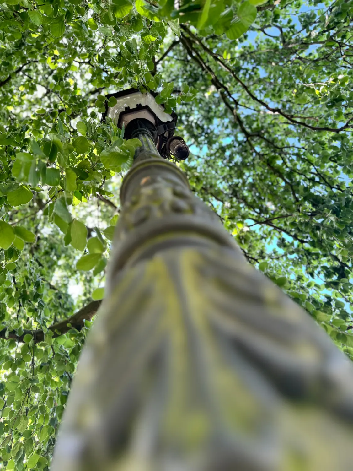 .t.m.-therapie.tier.mensch.de UG haftungsbeschränkt - Therapeut - Garten