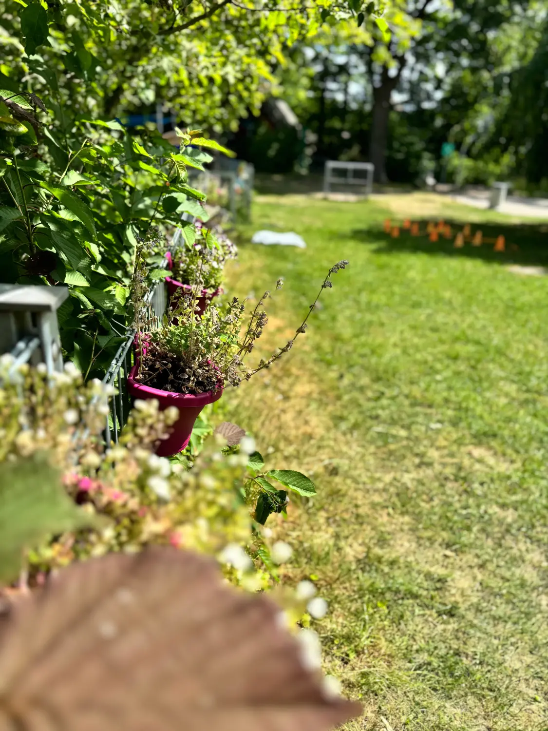 .t.m.-therapie.tier.mensch.de UG haftungsbeschränkt - Therapeut - Garten