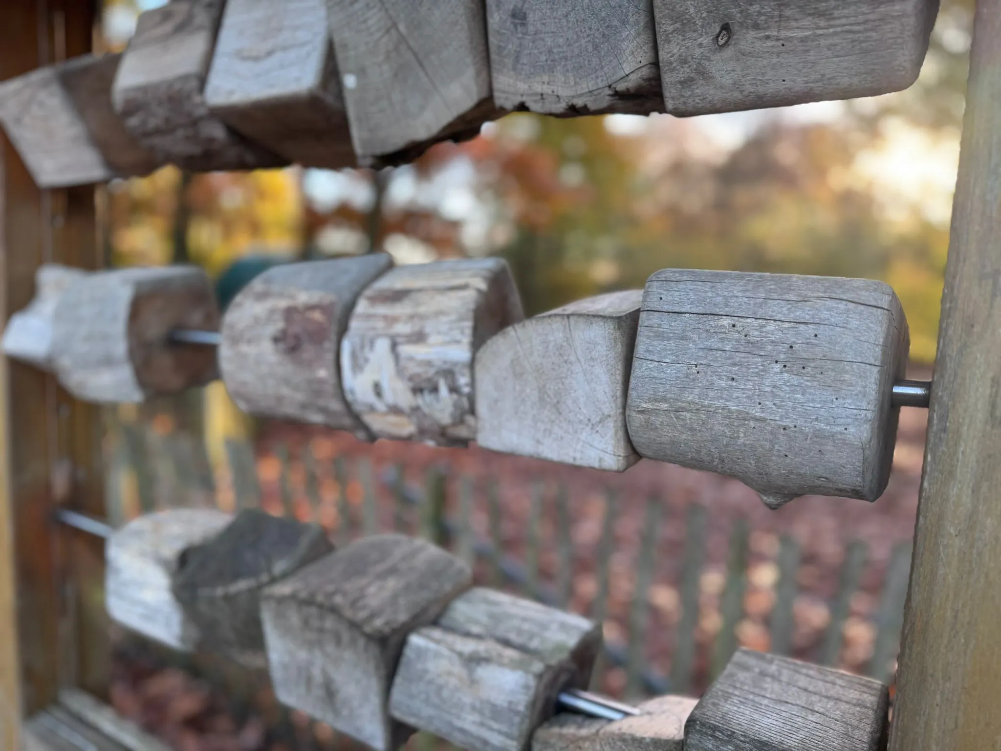 .t.m.-therapie.tier.mensch.de UG haftungsbeschränkt - Therapeutin - Frauen mit Hund